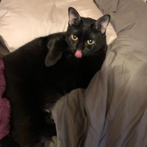 Meet your Posher, Adriana